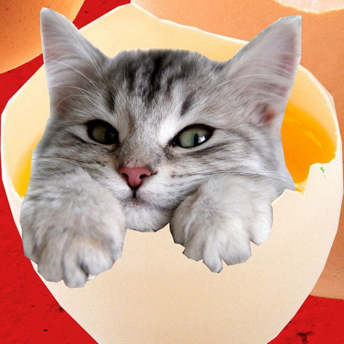 A gallery of my poster art